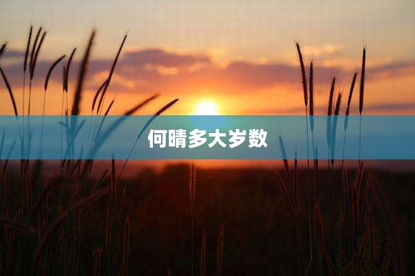 何晴多大岁数