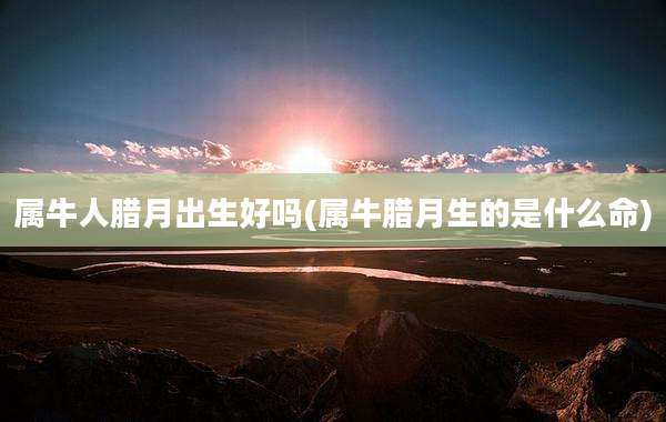 属牛人腊月出生好吗(属牛腊月生的是什么命)