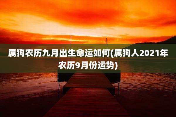 属狗农历九月出生命运如何(属狗人2021年农历9月份运势)