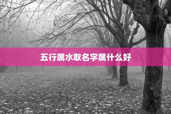 五行属水取名字属什么好