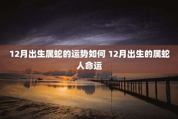 12月出生属蛇的运势如何 12月出生的属蛇人命运