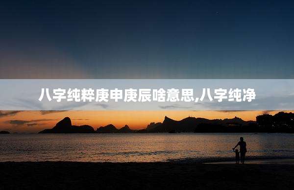 八字纯粹庚申庚辰啥意思,八字纯净