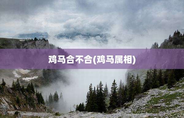 鸡马合不合(鸡马属相)