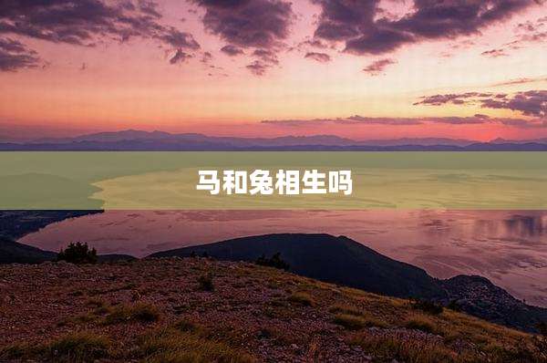 马和兔相生吗