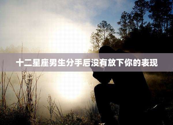 十二星座男生分手后没有放下你的表现