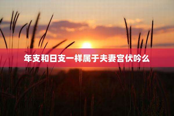 年支和日支一样属于夫妻宫伏吟么