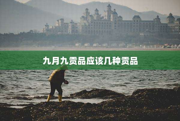 九月九贡品应该几种贡品