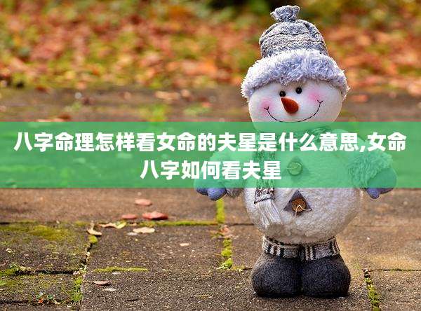 八字命理怎样看女命的夫星是什么意思,女命八字如何看夫星