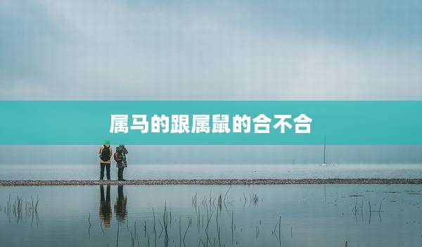 属马的跟属鼠的合不合