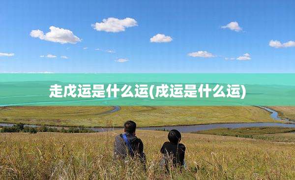 走戊运是什么运(戍运是什么运)