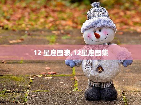 12 星座图表,12星座图集