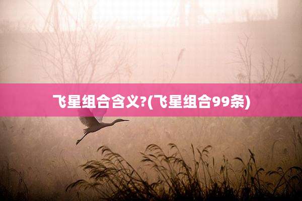 飞星组合含义?(飞星组合99条)