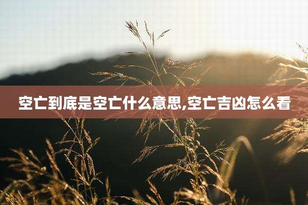 空亡到底是空亡什么意思,空亡吉凶怎么看
