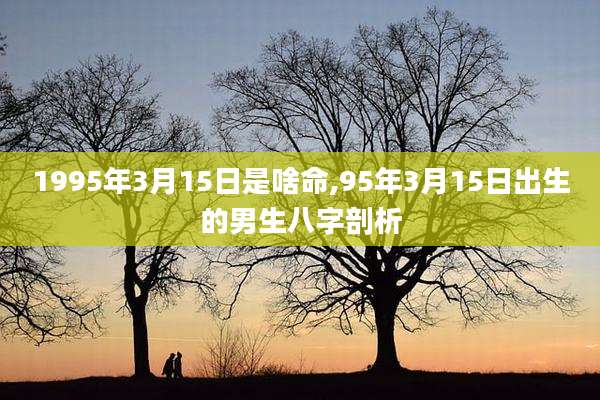 1995年3月15日是啥命,95年3月15日出生的男生八字剖析