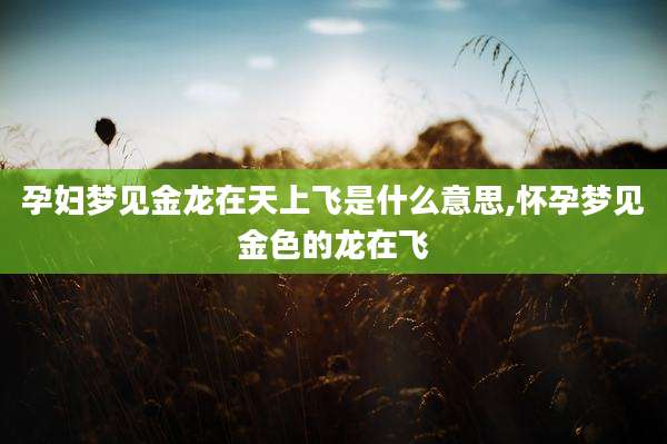 孕妇梦见金龙在天上飞是什么意思,怀孕梦见金色的龙在飞