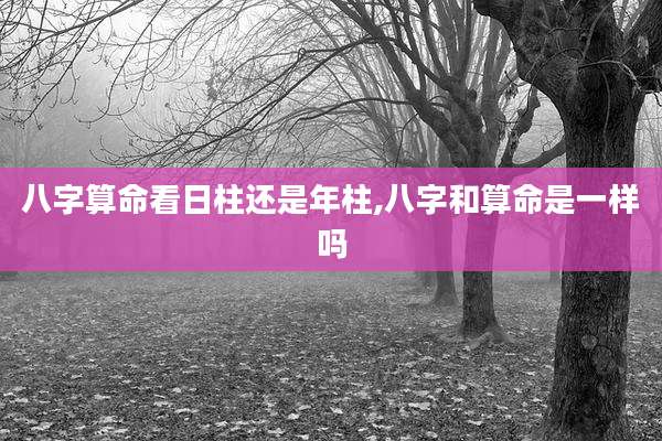 八字算命看日柱还是年柱,八字和算命是一样吗