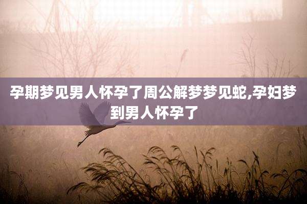 孕期梦见男人怀孕了周公解梦梦见蛇,孕妇梦到男人怀孕了