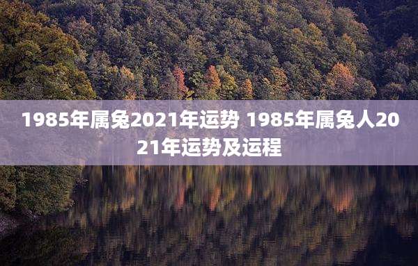 1985年属兔2021年运势 1985年属兔人2021年运势及运程