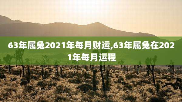 63年属兔2021年每月财运,63年属兔在2021年每月运程