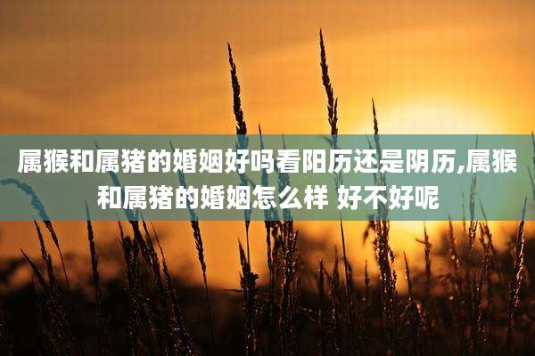 属猴和属猪的婚姻好吗看阳历还是阴历,属猴和属猪的婚姻怎么样 好不好呢