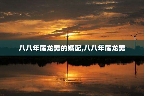 八八年属龙男的婚配,八八年属龙男