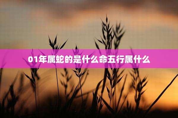 01年属蛇的是什么命五行属什么