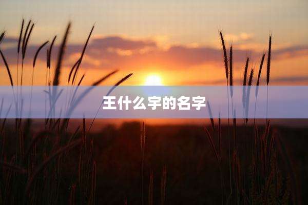 王什么宇的名字