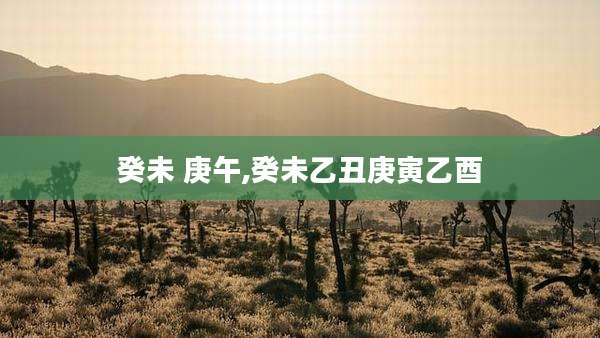 癸未 庚午,癸未乙丑庚寅乙酉