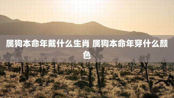 属狗本命年戴什么生肖 属狗本命年穿什么颜色