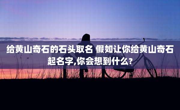 给黄山奇石的石头取名 假如让你给黄山奇石起名字,你会想到什么?