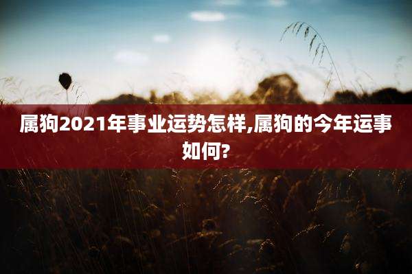 属狗2021年事业运势怎样,属狗的今年运事如何?