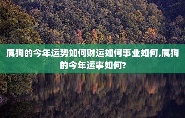 属狗的今年运势如何财运如何事业如何,属狗的今年运事如何?