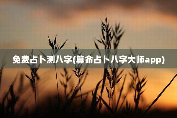 免费占卜测八字(算命占卜八字大师app)