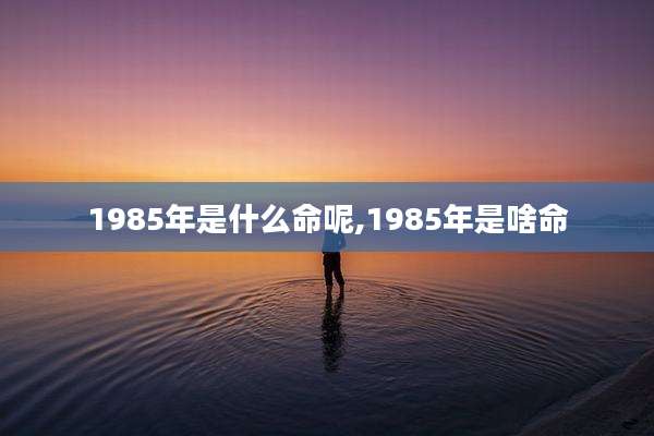 1985年是什么命呢,1985年是啥命