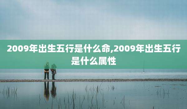 2009年出生五行是什么命,2009年出生五行是什么属性