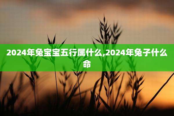 2024年兔宝宝五行属什么,2024年兔子什么命