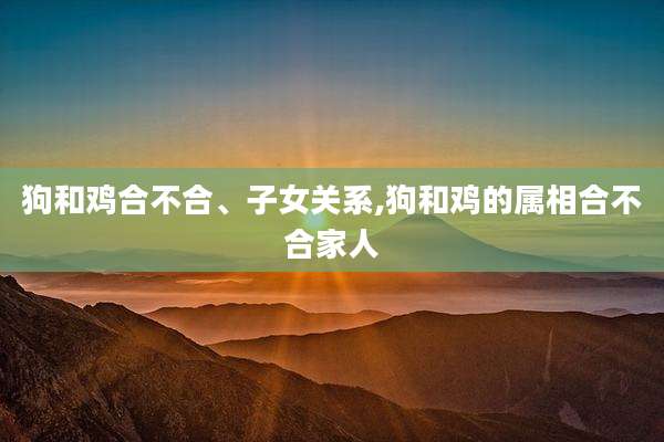 狗和鸡合不合、子女关系,狗和鸡的属相合不合家人