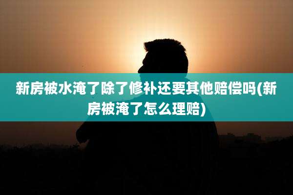 新房被水淹了除了修补还要其他赔偿吗(新房被淹了怎么理赔)