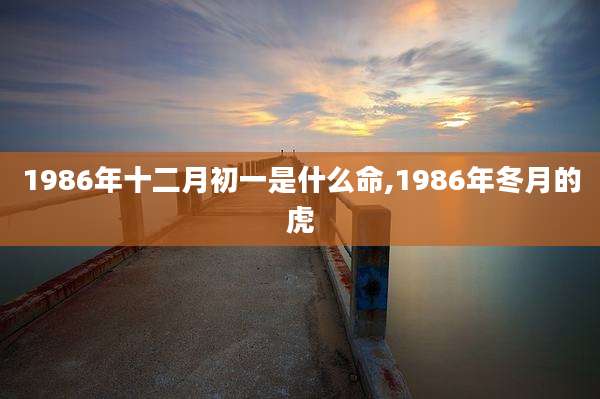 1986年十二月初一是什么命,1986年冬月的虎