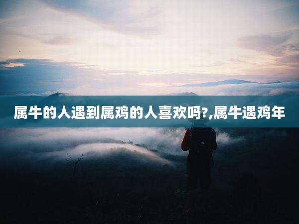 属牛的人遇到属鸡的人喜欢吗?,属牛遇鸡年