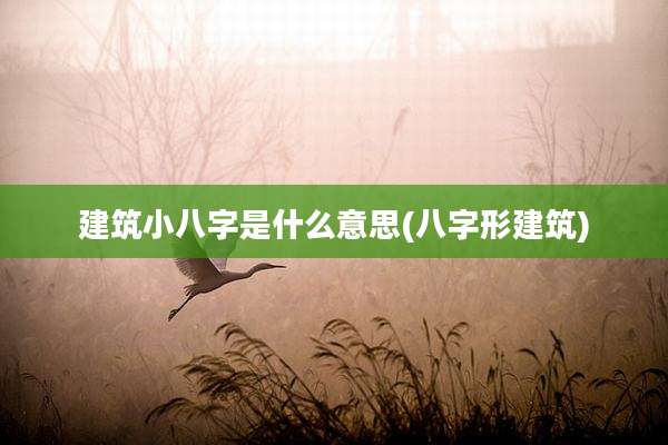 建筑小八字是什么意思(八字形建筑)