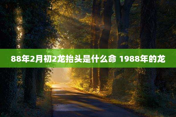 88年2月初2龙抬头是什么命 1988年的龙