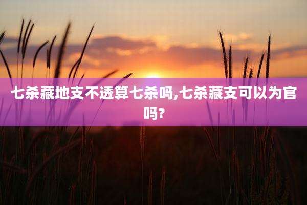 七杀藏地支不透算七杀吗,七杀藏支可以为官吗?