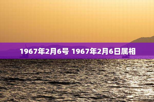 1967年2月6号 1967年2月6日属相