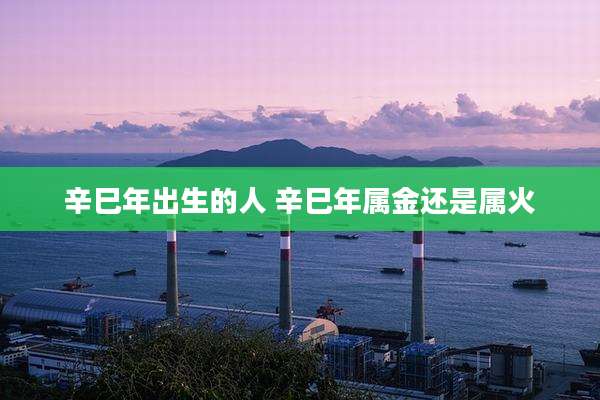 辛巳年出生的人 辛巳年属金还是属火