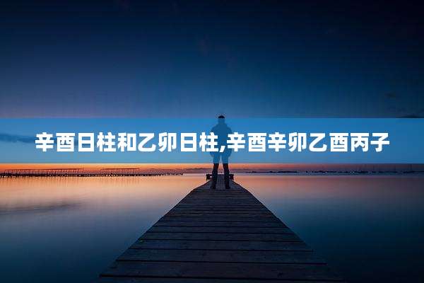 辛酉日柱和乙卯日柱,辛酉辛卯乙酉丙子