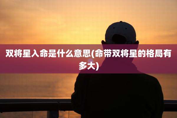 双将星入命是什么意思(命带双将星的格局有多大)