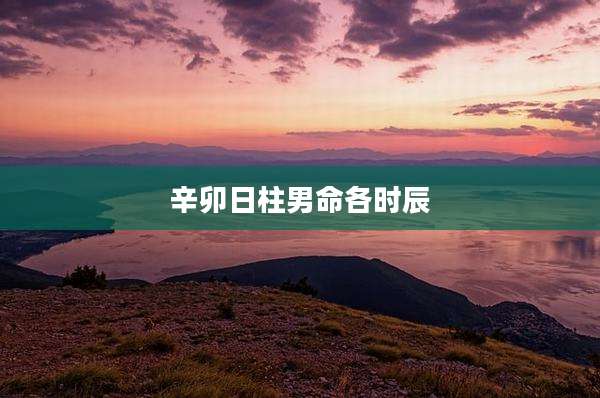 辛卯日柱男命各时辰