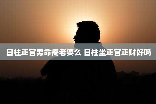 日柱正官男命疼老婆么 日柱坐正官正财好吗