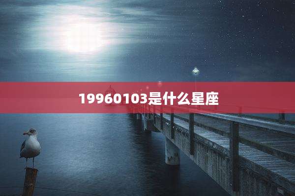 19960103是什么星座